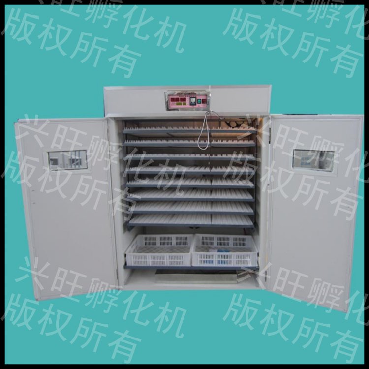 山雞苗孵化機(jī) 肉雞雞苗孵化器 小型孵化設(shè)備