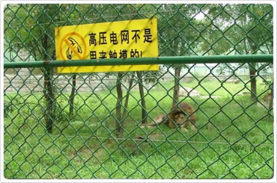 動物園護欄網(wǎng).動物園護欄網(wǎng)價格，護欄網(wǎng)公司 賽一絲網(wǎng)