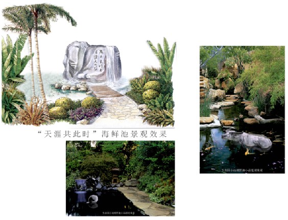 甘肅足浴裝飾,甘肅火吧設(shè)計(jì),西鵬,甘肅餐廳設(shè)計(jì)