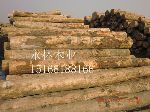 嵐山白松板，白松板銷售，白皮松生產