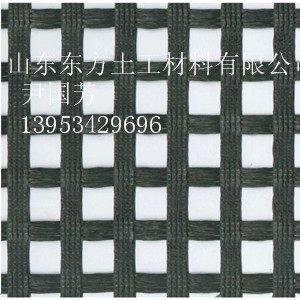 供應土工網，CE131土工網廠家尹國芳