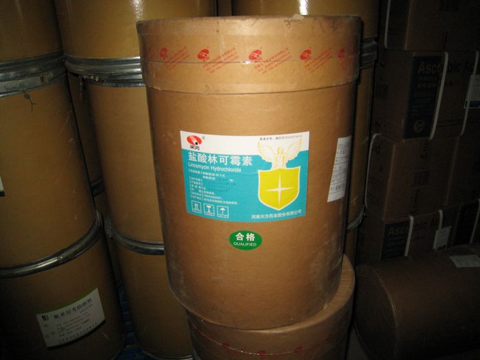 石家莊供應(yīng)齊魯產(chǎn)阿米卡星 ，10個十億阿米卡星原料藥，阿米卡星說明書