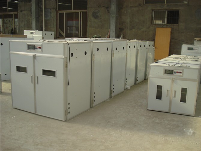 供應廊坊小型孵化機 保定全自動孵化機器 石家莊家用孵化設備