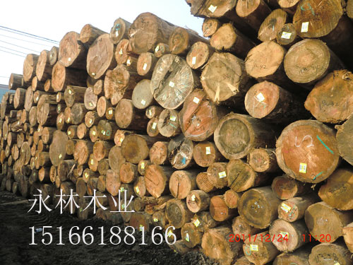 原木加工，新疆原木加工，優質進口原木，原木生產