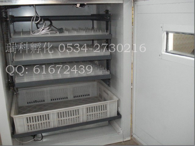 供應(yīng)大邑縣孵化機(jī)控制器、自貢市小型孵化機(jī)