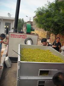 濰坊舜天蔬菜烘干機型號|蘑菇烘干機|辣椒烘干機批發(fā)