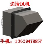 德州WEXD邊墻風機