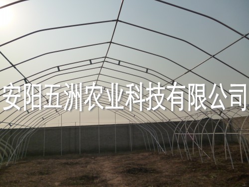 大棚鋼管 鍍鋅鋼管大棚 鍍鋅大棚骨架機