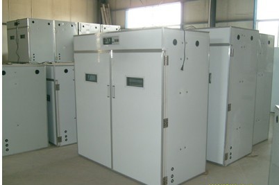 柳州自動(dòng)孵化設(shè)備棗莊孵化機(jī)安陽(yáng)孵化器湖州自動(dòng)孵化機(jī)器孵化箱