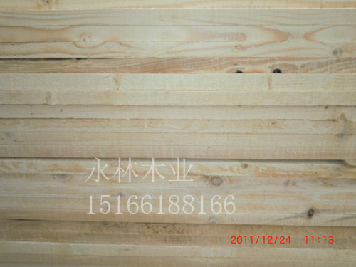 輻射松木原木板材，鐵杉原木，進口原木，原木價格