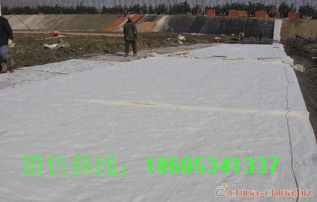 阻燃地毯/展覽地毯/覆膜地毯/大紅地毯18605341337