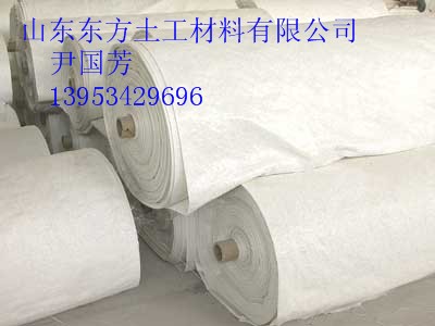 供應(yīng)德州土工膜生產(chǎn)廠家用于養(yǎng)魚池 水庫(kù) 隧道防滲