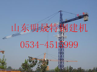 供應50塔吊，湖南50塔吊，株洲5010塔吊，明晟塔吊山東行業{lx1}