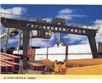 鋁型材專用氧化機(jī) 廣大起重機(jī)械廠