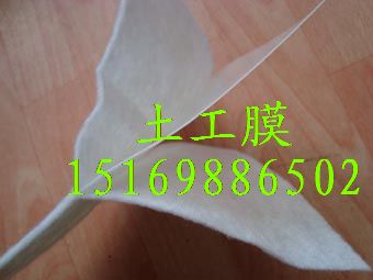 15169886502供應(yīng)復(fù)合土工膜河道水渠專用兩布一膜防滲膜