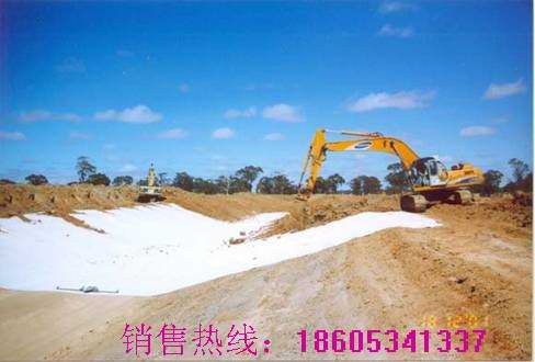 200/5mm/200復(fù)合排水網(wǎng)/長絲復(fù)合排水網(wǎng)/垃圾填埋場專用復(fù)合排水網(wǎng)