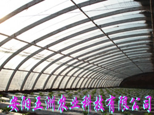 鋼管鍍塑新型大棚骨架 鍍鋅大棚骨架機(jī)