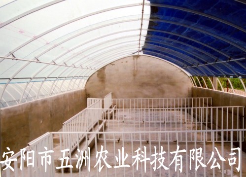 多功能蔬菜大棚建設 鋼管鍍塑蔬菜大棚