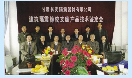 蘭州橋梁隔震,蘭州隔震器材,長實隔震,蘭州防震墊