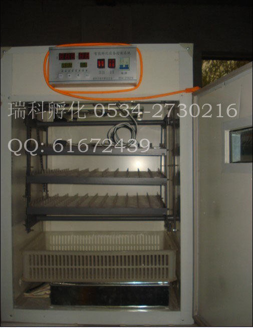 供應(yīng)武城縣全自動(dòng)孵化機(jī)、慶云縣孵化器、出雛機(jī)