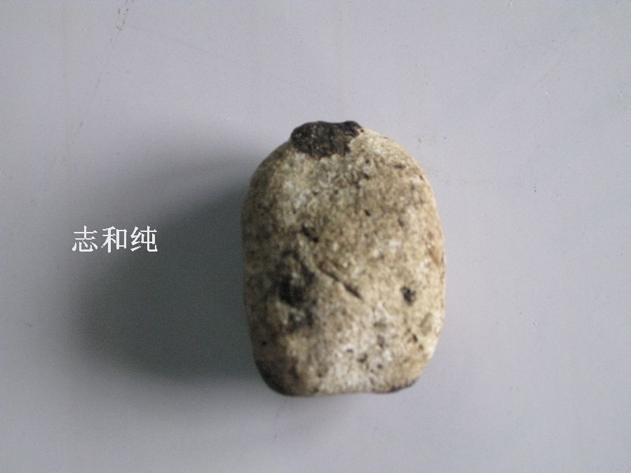 條形蟲漏沉水沉香