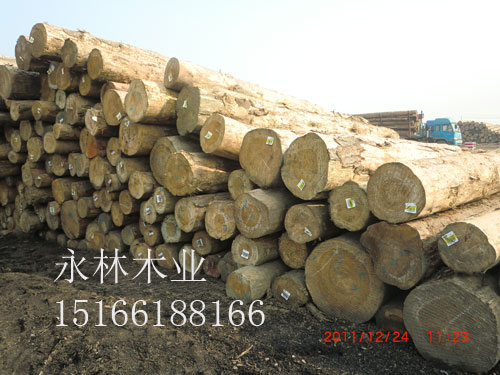 白松板材加工，進口松木板材加工，白松板材加工