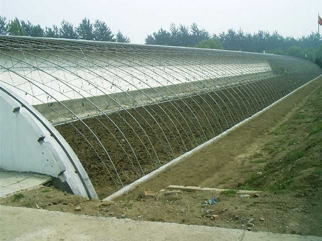 育苗棚建設(shè)|濰坊育苗棚廠家|西良育苗棚報(bào)價(jià)