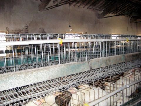 專業制造溫控設備,溫控設備廠家直銷，溫控設備知識，溫控設備知識
