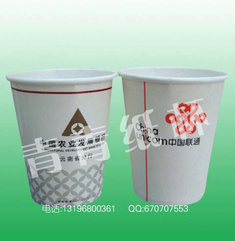 德惠市廣告紙杯，德惠市紙杯生產(chǎn)制作，德惠市紙杯印刷制作，德惠市紙杯定做電話：0516-80209161 陳小姐   QQ：1194468750