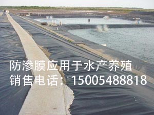 土工膜購買1.5mmHDPE土工膜找泰安金馳華易建材15005488818