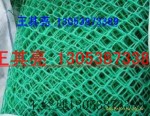 山東土工網(wǎng)墊  瑞豐物優(yōu)價(jià)廉