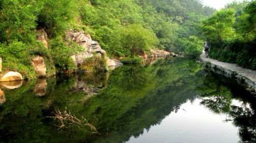 滿山春色關不住 武漢云霧山賞杜鵑花海 探索云霧山民間藝術--塑泥武漢一日游 周邊一日游 春游線路