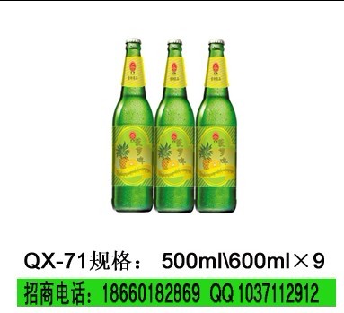 果味啤酒招商河南|南阳|信阳18668909828