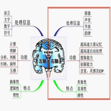 思迈全脑特色教学 右脑开发 南昌培训