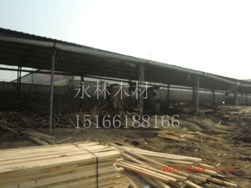 日照云杉建筑口料加工，鐵杉建筑口料價格，建筑口料