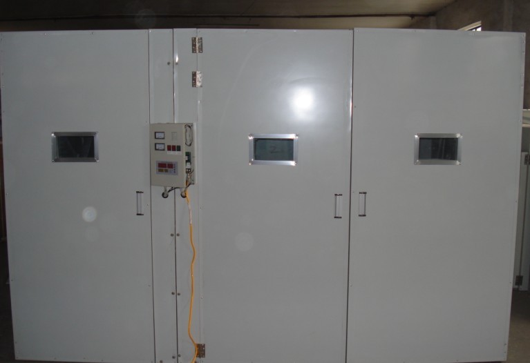 供應(yīng)孵化箱 出雛機(jī) 孵化機(jī)器 全自動(dòng)孵化器