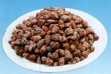 鞏義鵬飛供應(yīng)凈水濾料 輕質(zhì)陶粒濾料 輕質(zhì)陶粒濾料價格