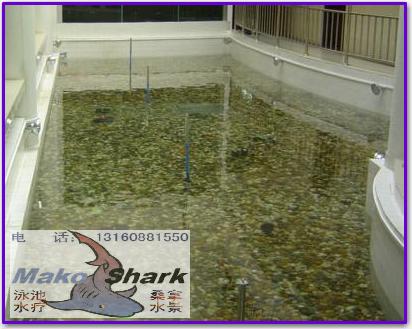 東莞無(wú)機(jī)房泳池過(guò)濾設(shè)備-瑪鯊地上箱一體化泳池設(shè)備