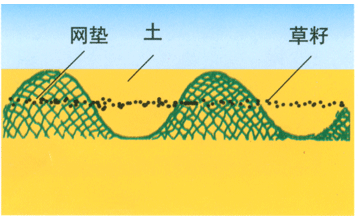 三維土工網(wǎng)墊/2層3層4層5層/黑色、綠色、墨綠