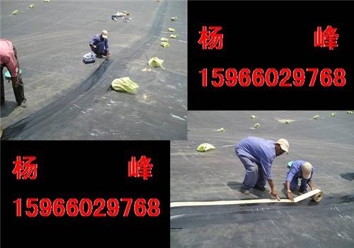 防渗膜泰安优质土工膜，泰安优质HDPE土工膜{zx1}报价 土工膜施工