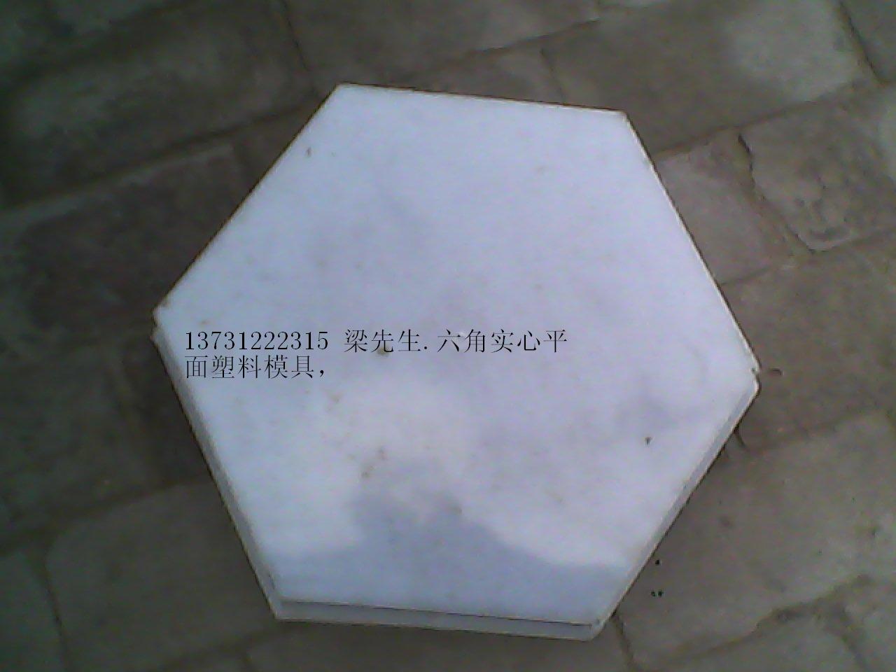直銷供應：預制塊六角塑膠模具價格 六角預制塊塑料模具廠家 