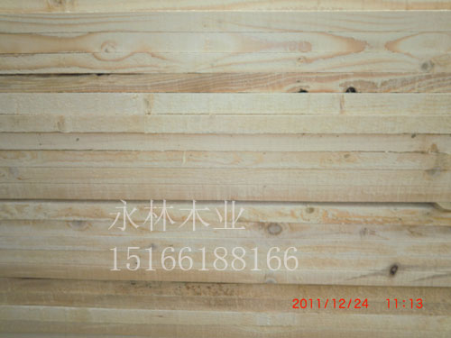 進(jìn)口優(yōu)質(zhì)輻射松樟子松，輻射松價(jià)格，輻射松前景好不