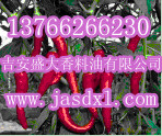 供應(yīng)優(yōu)質(zhì)白芷油，白芷油樹脂，{sx}吉安盛大香料出品