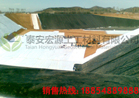 供應(yīng)【齊齊哈爾】針刺膨潤土防水毯 貨到付款廠家直銷價(jià)格{zd1} 