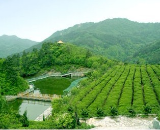 武漢一日游就去清涼寨踏青品清涼寨清茶一日游就上湖北在線旅游網(wǎng)