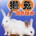 供應野兔價格2010{zx1}供應,野兔的價格行情,野兔市場價格(圖)