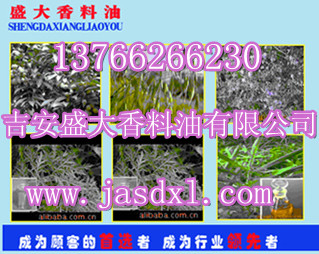 供應(yīng)優(yōu)質(zhì)白芷油，白芷油樹脂，{sx}吉安盛大香料出品