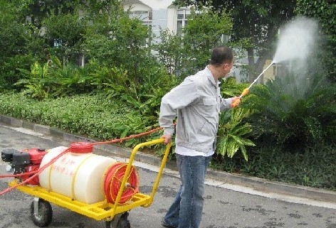 佛山大象有害生物南海除四害公司 佛山除四害服務中心廣東