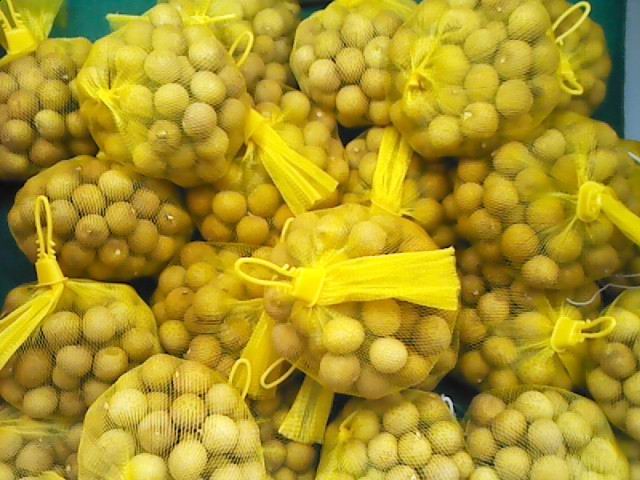 杭州市供應，網套食品包裝網袋，雞蛋網袋，水果網袋A新中南塑膠包裝制品有限公司