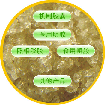 產品價格工業(yè)明膠的作用-工業(yè)明膠的作用效果 十一全會